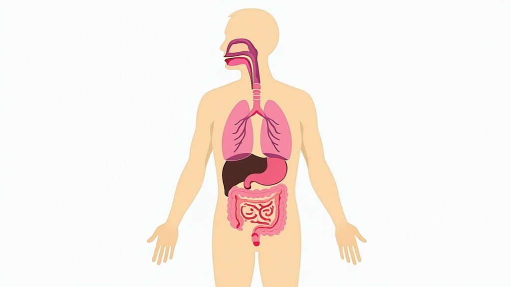 A simple diagram of the human body highlighting areas such as the lungs, breast, skin, and intestines where early cancer symptoms may appear.